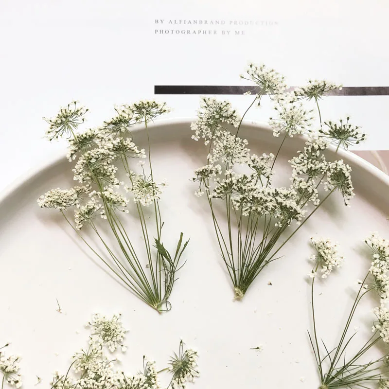 5-7 cm/12 piezas, flores peque - Craft Embellishment reseña y precio