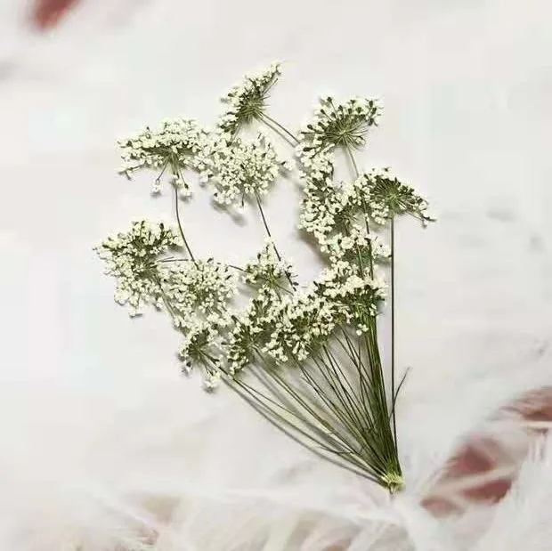 5-7 cm/12 piezas, flores peque - Craft Embellishment reseña y precio
